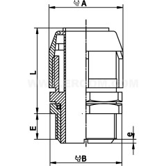 Dławnica do rur ochronnych PG21 IP66 czarna WPD 21/21 E03DK-07030100601
