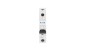 Wyłącznik nadprądowy 1P D 25A 6kA AC PL6-D25/1 286547