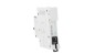 Wyłącznik nadprądowy 1P C 50A 6kA AC xPole Home HN-C50/1 194836