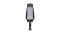 Lampa uliczna LED 100W 11000lm barwa zimna 90/130 stopni szara 6500K EC79907