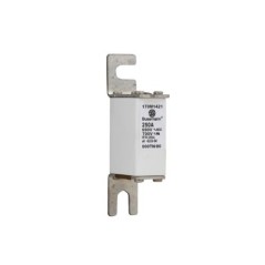 Wkładka bezpiecznikowa DIN000 250A aR 690V 170M1421