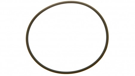 Uszczelka do dławnicy M63 SKINDICHT O-Ring VITON M63/57X2 52122070