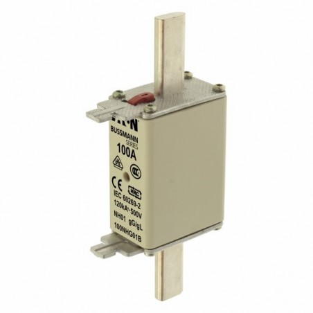 Wkładka bezpiecznikowa NH1 100A gL/gG 500V 100NHG01B