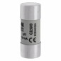 Wkładka cylindryczna 22x58mm 80A gG 500V AC C22G80 Wkładka cylindryczna 22x58mm 80A gG 500V AC C22G80