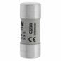 Wkładka bezpiecznikowa cylindryczna 22x58mm 40A gL/gG 690V C22G40 Wkładka bezpiecznikowa cylindryczna 22x58mm 40A gL/gG 690V C22G40