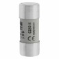 Wkładka bezpiecznikowa cylindryczna 22x58mm 16A gL/gG 690V C22G16