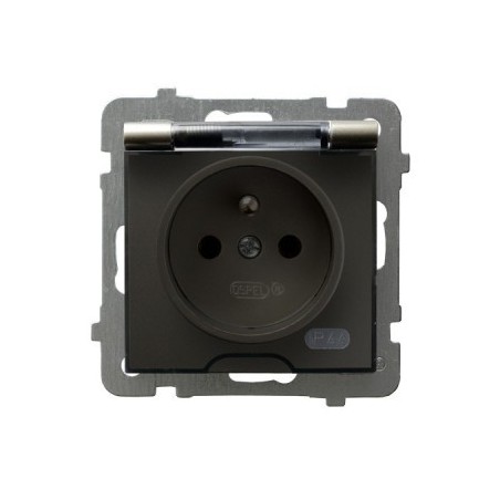 AS Gniazdo bryzgoszczelne z/u IP44 klapka przezroczysta satyna light GPH-1GZ/m/45/d