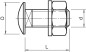 Śruba grzybkowa z podkładką i nakrętką M10x25 FRS 10X25 F TPS 6407536 /50szt./ Śruba grzybkowa z podkładką i nakrętką M10x25 FRS 10X25 F TPS 6407536 /50szt./